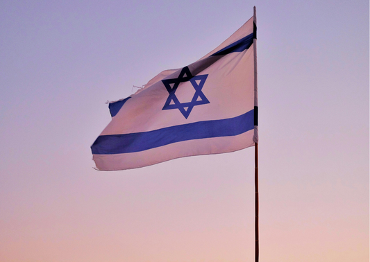 Seminar "Die Bedeutung Israels in unserem Zeitalter" - Wladimir Pikman